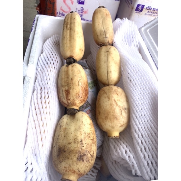 รากบัวสด 1kg พร้อมส่ง สด สะอาด รับประกันคุณภาพ 新鲜莲藕ทำของหวาน อาหาร