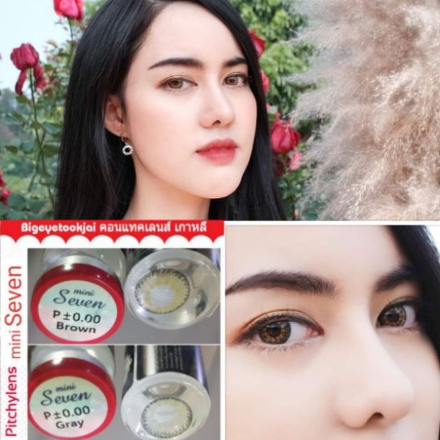 Pitchylens Mini Seven สายตา 00 ถ ง 1000 Brown Gray Contactlens บ กอาย คอนแทคเลนส ราคาถ ก แถมตล บฟร Shopee Thailand