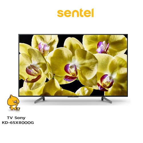 [SmartTV] SONY KD-65X8000G TV จอ LED 65" 4K HDR โซนี่ สมาร์ททีวี ประกันศูนย์ 3 ปี Processor X1 ทีวี (Google TV)