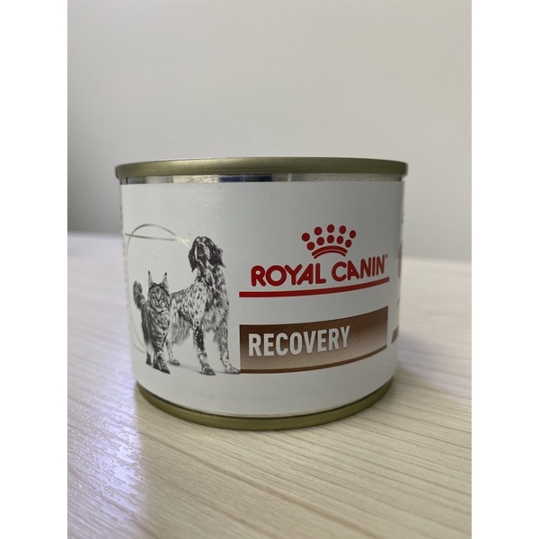 royal canin recovery อาหารเปียก สัตว์ป่วยพักฟื้นและหลังผ่าตัด 195 g.