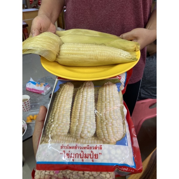 ข้าวโพดปุ้มปุ้ย ข้าวโพดข้าวเหนียวขาว  1 Kg   ของใหม่ชัวร์  สิ้นอายุทำพันธ์  05 / 70