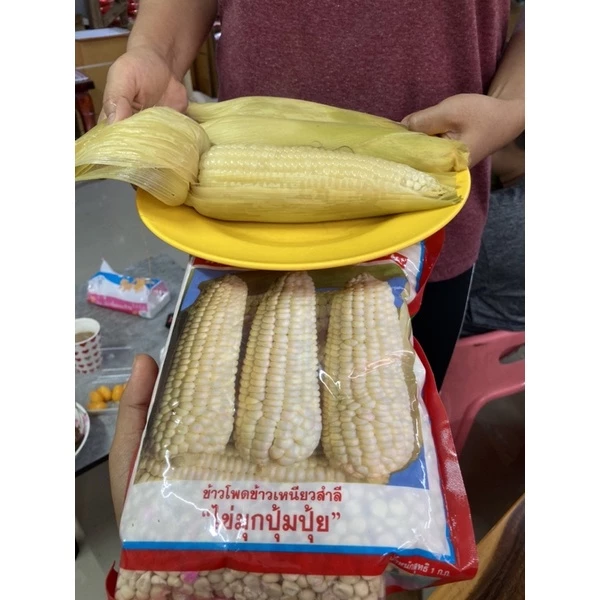 ข้าวโพดปุ้มปุ้ย ข้าวโพดข้าวเหนียวขาว 1 Kg ของใหม่ชัวร์ สิ้นอายุทำพันธ์ 05 / 70