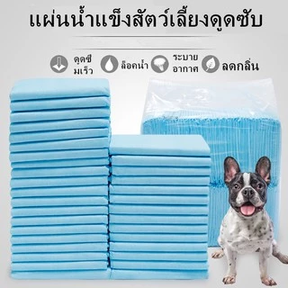 แผ่นรองฉี่สุนัข แผ่นรองฉี่แมว ช่วยฝึกขับถ่าย Super Absorption Gel ระงับกลิ่น ซึมซับไดีดี แผ่นรองฉี่สุนัขและแมว