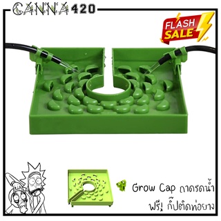 Grow cap ถาดรองดินรดน้ำ ทำให้รดได้ซึมทั่วหน้าดิน ได้ทั้งดินและ Hydroponics Rockwools ขนาด 6 นิ้ว Grow Garden Flora Flex