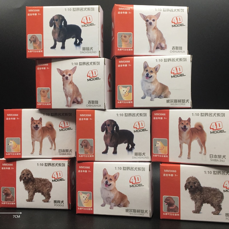 Who Is The Worlds Most Famous Dog