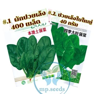 เมล็ดปวยเล้ง ปวยเล้งญี่ปุ่น 250-1600เมล็ด (5-40กรัม) สายพันธุ์ OP