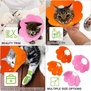 🐱 ปลอกคอกันเลีย คอลล่าแมว ปลอกคอป้องกันรอยขีดข่วนและป้องกันการเลีย ปลอกคอสัตว์เลี้ยง