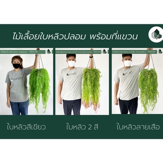 ไม้เลื้อยปลอม ใบหลิวปลอม 70 CM พร้อมกระถางแขวนใยมะพร้าว