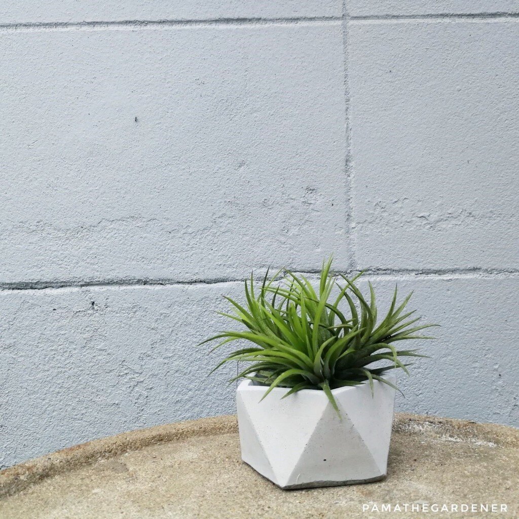 มุมมอง 4