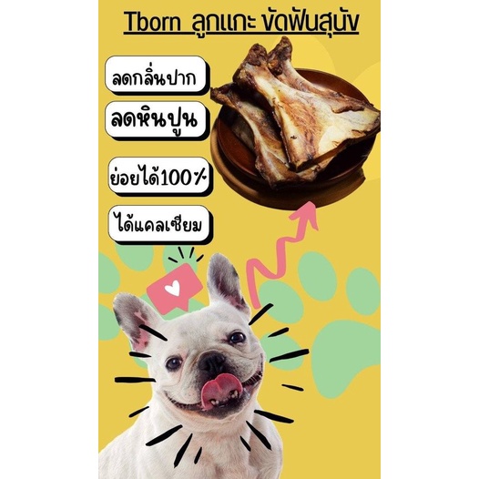 💥สินค้าส่งไว💥กระดูกใบพัดแกะออสเตรเลียชิ้นเล็ก