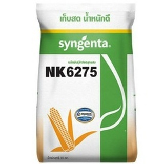 เมล็ดข้าวโพด เอ็นเค NK 6275 เบอร์ 3.5 และ 3 หุน (10 กก.) เก็บสด น้ำหนักดี ลำต้นแข็งแรง ทนต่อราสนิม