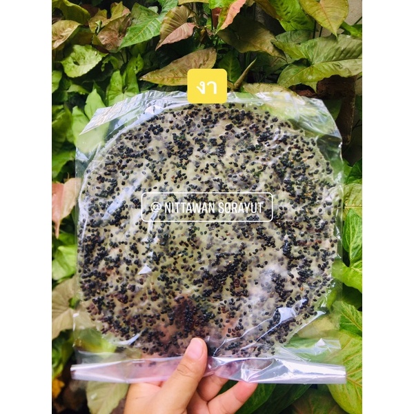 ข้าวแคบ อุตรดิตถ์ 10 ห่อ แถม 2 ห่อ( รวมรส) 159 บาท ราคา ถูกที่สุด ดีลบีเคเค แกลเลอรีภาพที่ 3