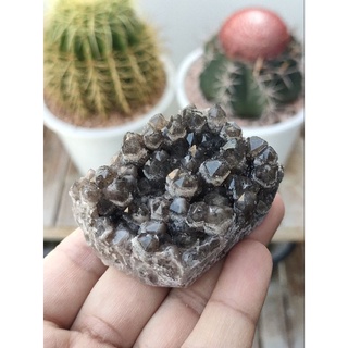 👑 ดรูซี่ สโมคกี้ ควอตซ์  แหล่ง บราซิล( Druzy Smoky Quartz Crystal Cluster ) 🌸 🇧🇷ควอตซ์ผลึกสวย มีผลึกเล็กๆ ละเอียดติดรอบๆ