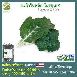 เมล็ดคะน้าใบหยิก โปรตุเกส ( Portuguese Kale) 100-150 เมล็ด