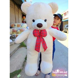 ตุ๊กตาพี่หมีเท็ดดี้ขนนุ่ม ผ้านาโนขนนุ่มๆ 100-110เซน ตัวใหญ่พร้อมส่งทุกวัน มีเก็บปลายทาง