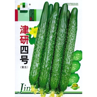 เมล็ด แตงกวาญี่ปุ่น สายพันธุ์ OP (ประมาณ 60-70 เมล็ด) Japanese   Cucumber (Jinyan No.4)