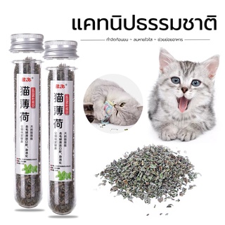 กัญชาแมว กัญชาแมว แบบละเอียด fine grind catnip แคทนิป Catnip หลอดทดลอง 45ml สมุนไพรสำหรับสัตว์เลี้ยง คลายเครียดให้แมว