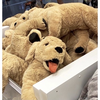 [พร้อมส่ง] ตุ๊กตาหมาอิเกีย Gosig Golden IKEA 70ซม.