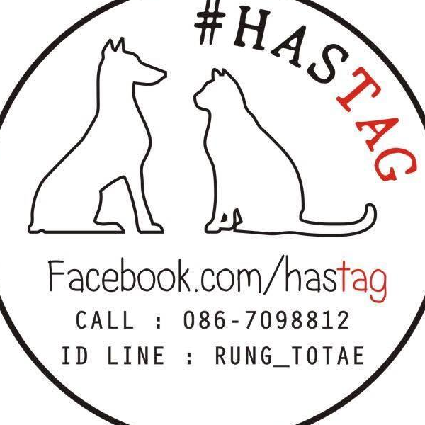 ป้ายชื่อสุนัข ป้ายชื่อแมว By HasTag