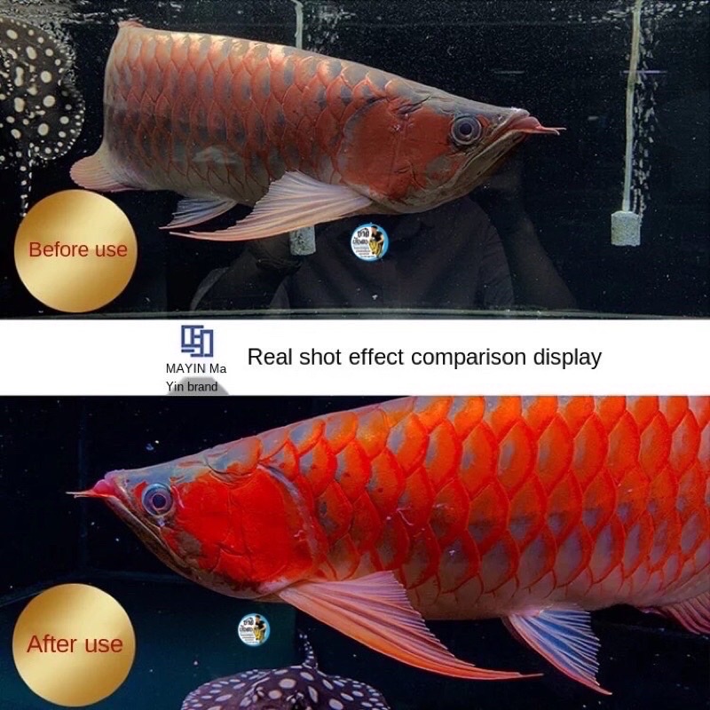 MAYIN AROWANA หลอดไฟสำหรับปลามังกร ใช้ได้ทั้งมังกรทองและมังกรแดงขับสีปลาชัดขึ้น (MY-52 / MY-72 / MY-92 )