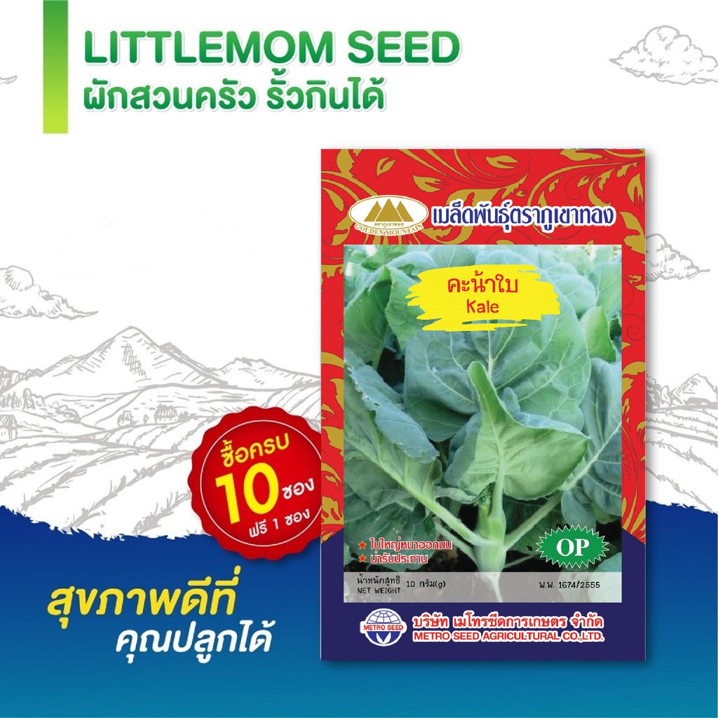 เมล็ดคะน้าใบ ภูเขาทอง 10 กรัม