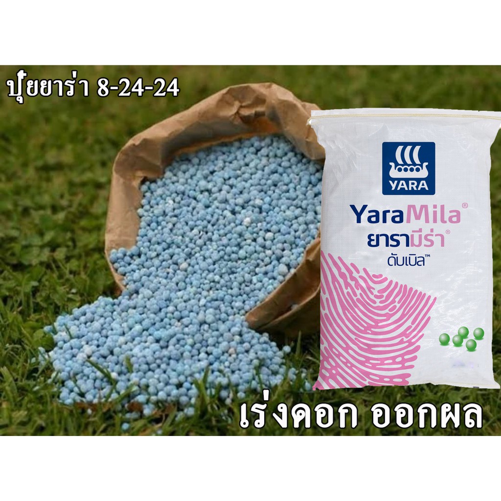ปุ๋ย 8-24-24 ขนาด 1 กิโล ปุ๋ยยาร่า ปุ๋ยเร่งดอก ติดผล ปุ๋ยบำรุงดอก ปุ๋ยเร่งดอกไม้  ปุ๋ยเร่งผลดก ปุ๋ยย