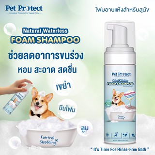 Pet Protect โฟมอาบน้ำแห้ง สุนัข กำจัดแบคทีเรีย ธรรมชาติ100% สูตรไม่ต้องล้างน้ำออก 200ml.[DB55]