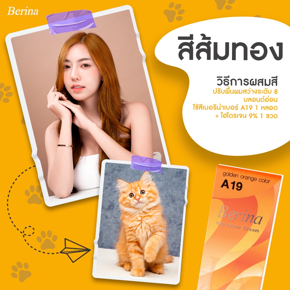 Berina(เบอริน่า) ยาย้อมผม ครีมย้อมผม เบอริน่า สีส้มทอง ใช้สีเบอริน่าเบอร์ A-19