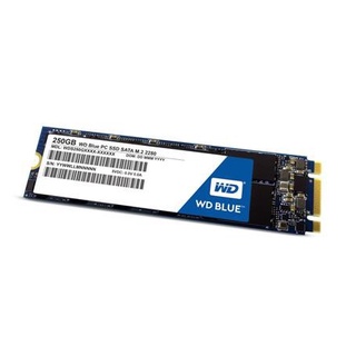 SATA SOLID STATE DRIVE WDSSD250GB-M.2 3DNAND 5YEAR