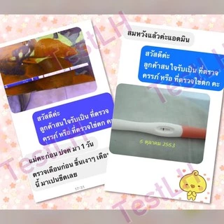 ที่ตรวจครรภ์แบบจุ่ม ที่ตรวจครรภ์ ตรวจครรภ์