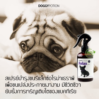 Puppy Potion สเปรย์ฉีดบำรุงขนสำหรับน้องหมา Relax Spray for Dog (250ml)