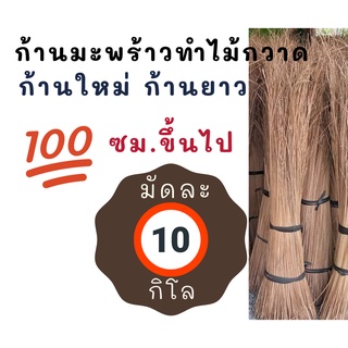 ก้านมะพร้าว ความยาว 100 ซมขึ้นไป💢โปร 10 กิโล  ก้านไม้กวาดมะพร้าวแห้ง ก้านทางมะพร้าว ถวายพระ