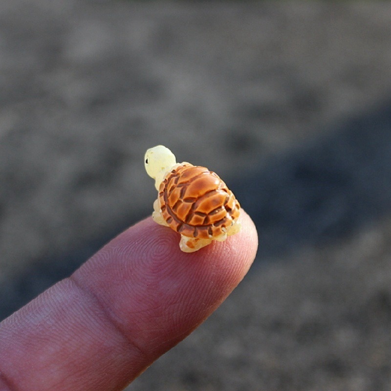 โมเดลเต่า ขนาดเล็ก สําหรับตกแต่งสวน 6 ชิ้น - รูปที่ 5