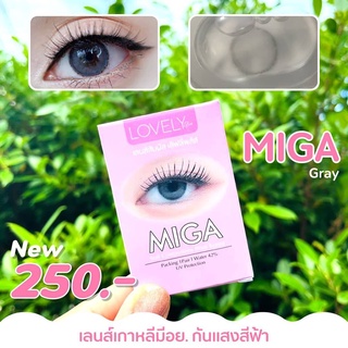 แบบบลิเตอร์ Miga gray  (ฺlovely) คอนแทคเลนส์เลิฟลี่พลัส มีสายตา