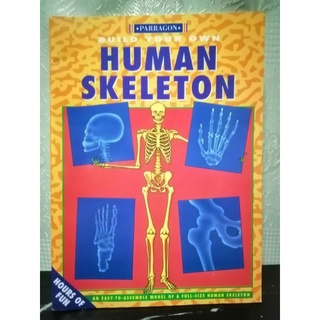 Build Your Own. Human Skeleton -157