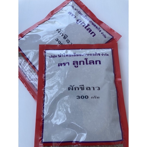 ผักชีลาว  ชีลาว ผักชี  งอกดี มีกลิ่นหอม ของใหม่ขัวร์  สิ้นอายุทำพันธุ์  07 / 70