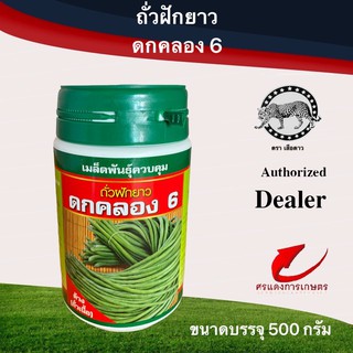 เมล็ดพันธุ์ ถั่วดกคลอง6(ถั่วเนื้อ) 100g