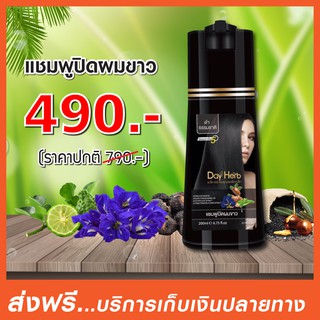 DayHerb  แชมพูปิดผมขาว สมุนไพรแท้ ปิดหงอก ลดหงอก ใน 5 นาที