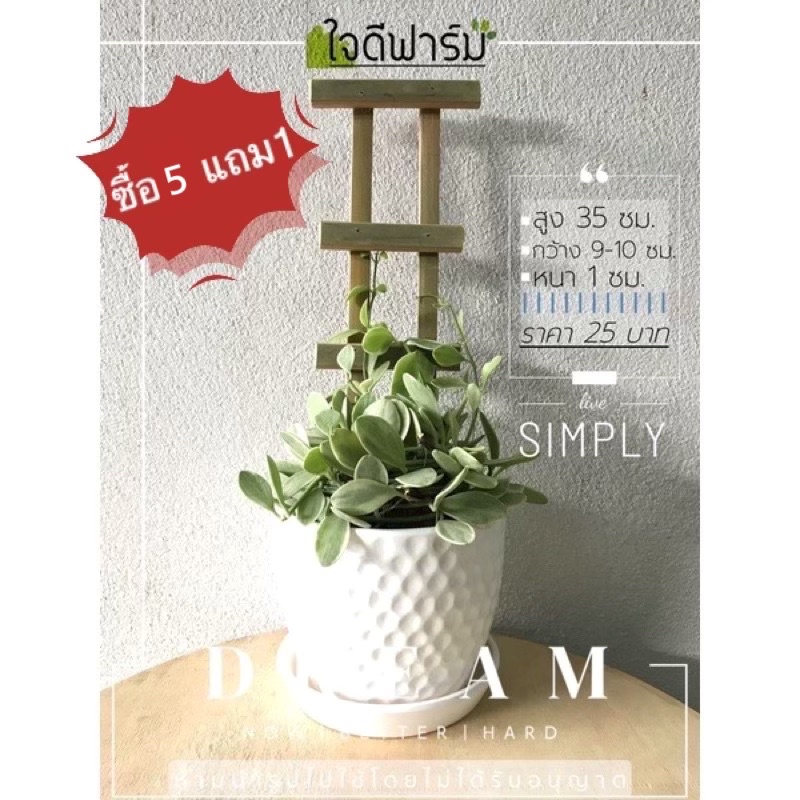 ไม้หลักต้นไม้ขนาดเล็ก 35x9ซม.