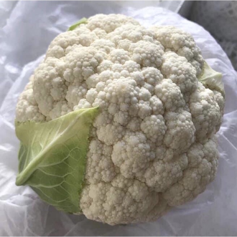 กะหล่ำดอกขาว โลละ70บาท