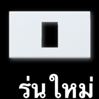 หน้ากาก 1-3ช่อง พานาโซนิค Panasonicแท้