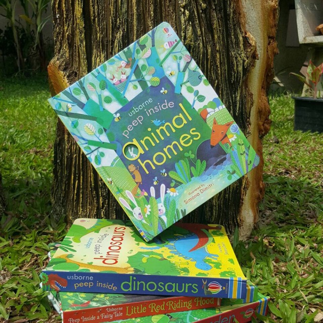 🐻Animal Homes🍀🍄Usborne