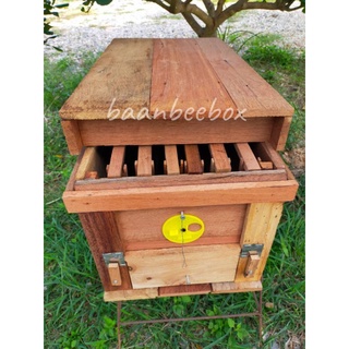 กล่องเลี้ยงผึ้งโพรงป่าไม้เก่าพร้อมคอนสามสาย 6 คอนพร้อมนำไปวางล่อผึ้งทันที