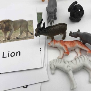 พร้อมส่ง  Montessori Animal Match