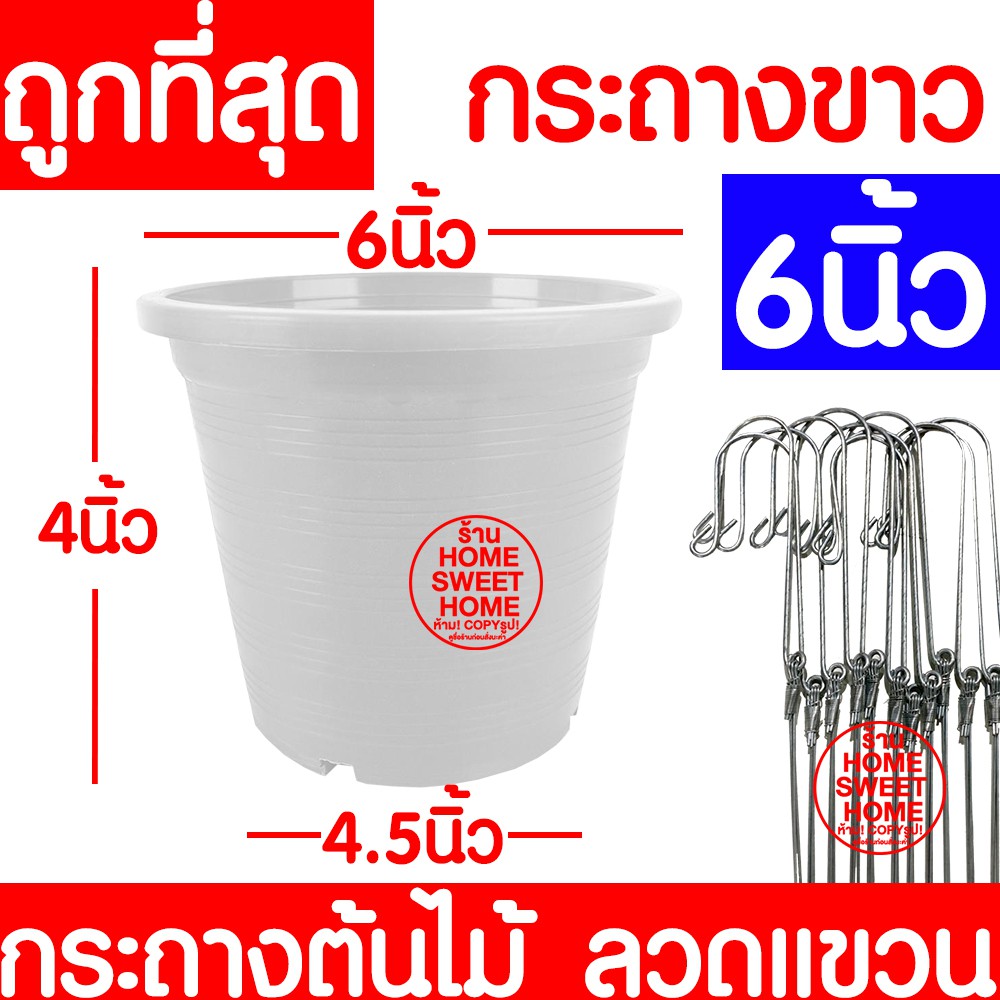 กระถางเพาะชำ 6 นิ้ว กระถางต้นไม้ ขาว ปลูกต้นไม้ ลวดแขวนกระถาง ลวดแขวนต้นไม้ ฟองน้ำ เพาะปลูก กล้วยไม้ ต้นไม้ ราคาโรงงาน