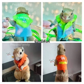 🌟🌟ถูกที่สุด​ 🌟🌟เสื้อ​พร้อม​สาย​จูง​กระรอก[[[ Pepzi&Family ]]] เสื้อพร้อมสายจูง กระรอก