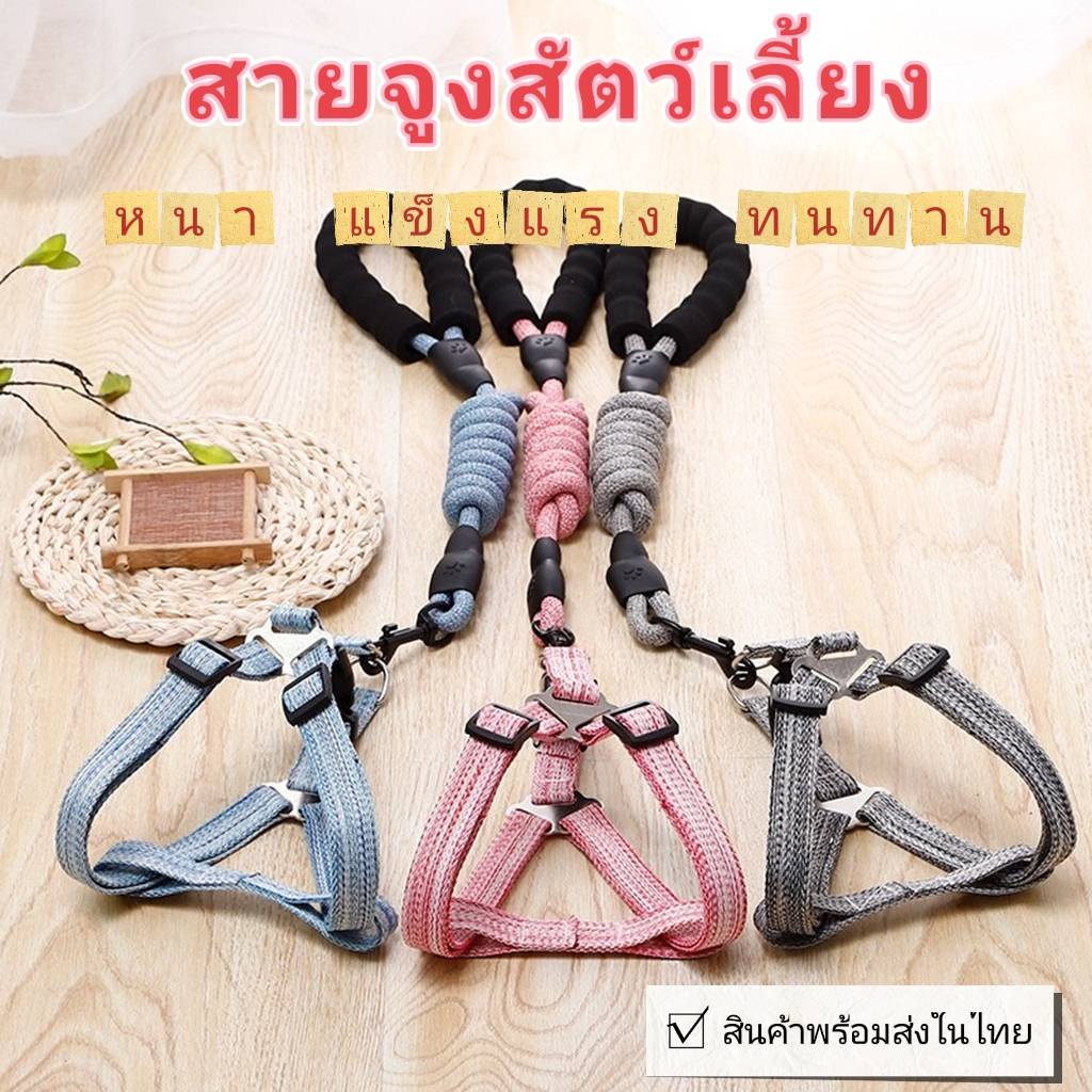 P270สายจูงหมา สายจูงแมว สายจูงสัตว์เลี้ยง มี5สี