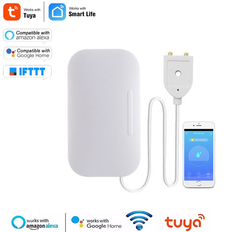 Water Leak Sensor Google Home