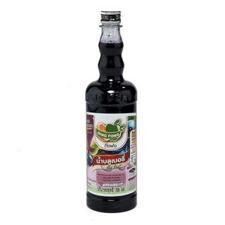 โปรโมชัน! ติ่งฟง น้ำสควอช บลูเบอร์รี่ 760 มิลลิลิตร Ding Fong Blueberry Squash 760 ml