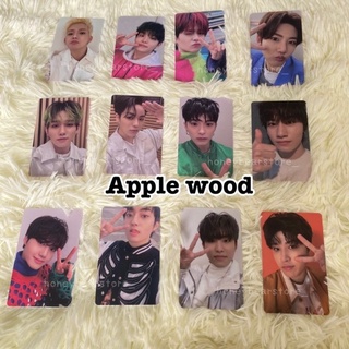 พร้อมส่ง การ์ด Treasure Applewood